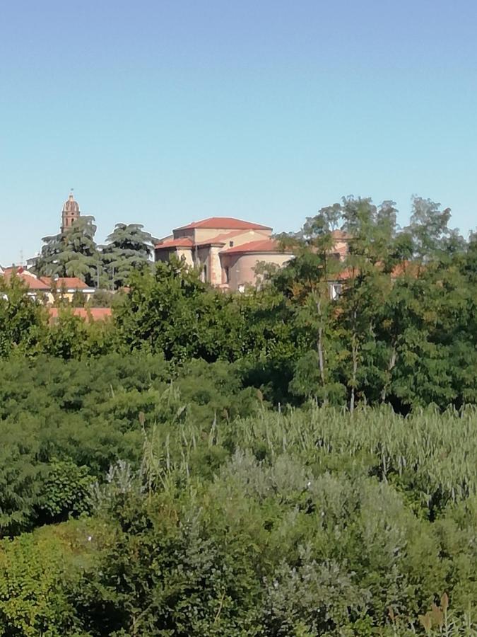 Affittacamere Mark Faenza Exterior photo